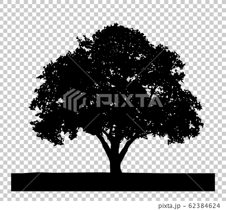 シルエット 植物 木のシルエット 大木01のイラスト素材