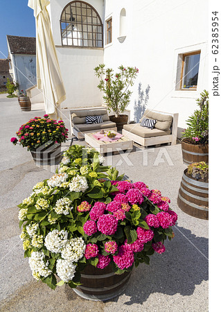 Monastery winery Thallern near Gumpoldskirchen, 62385954