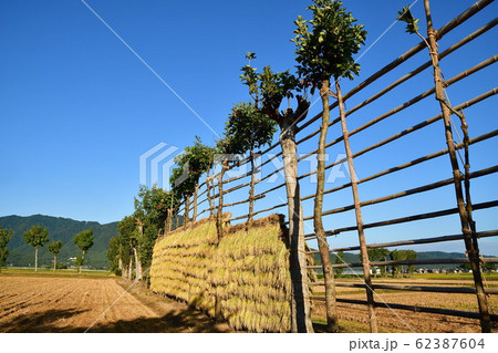 はさかけイメージ（新潟県） 62387604