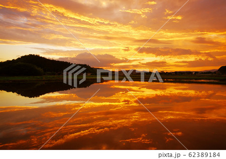 田んぼに映る夕空 62389184