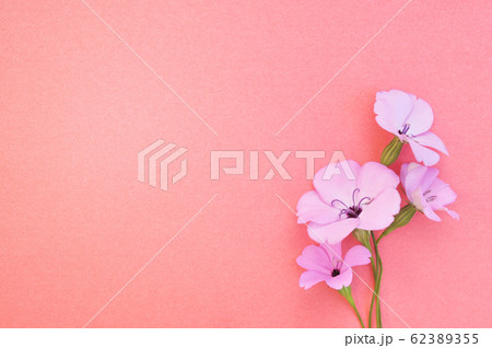 Summer blossoming pink flowers festive background, pastel and soft bouquet floral card, selective focus, toned Summer blossoming pink flowers festive background, pastel and soft bouquet floral card, selective focus, toned 62389355