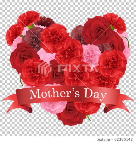 母の日 62390148