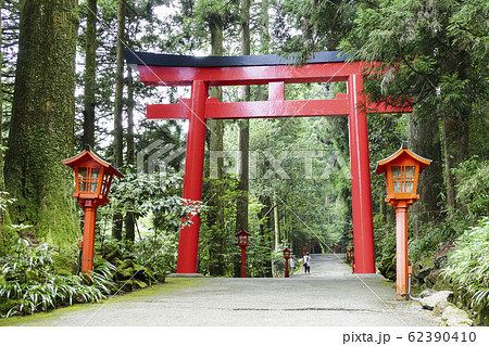 【箱根神社】 【箱根神社】 62390410