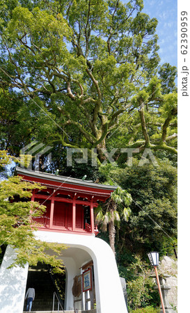 伊萬里神社 伊萬里神社 62390959