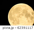 満月2 満月2 62391117