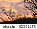 夕焼け 62391153