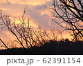 夕焼け 62391154