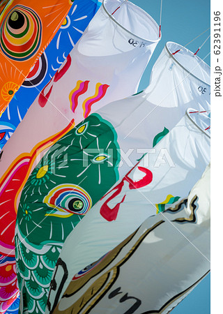 【泳げ鯉のぼり　相模川】 62391196