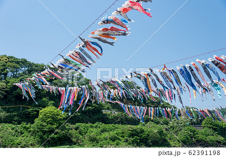 泳げ鯉のぼり 相模川 の写真素材