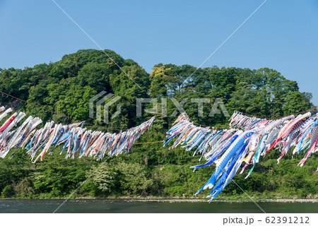 泳げ鯉のぼり 相模川 の写真素材