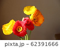 ポピー 62391666