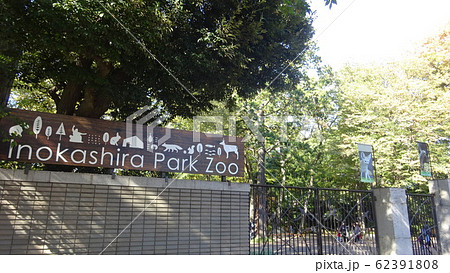 井の頭自然文化園　東京都武蔵野市御殿山 62391808