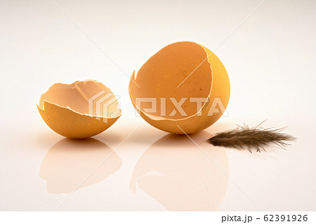 The Chicken Has Hatched And Fled The Chicken Has Hatched And Fled 62391926