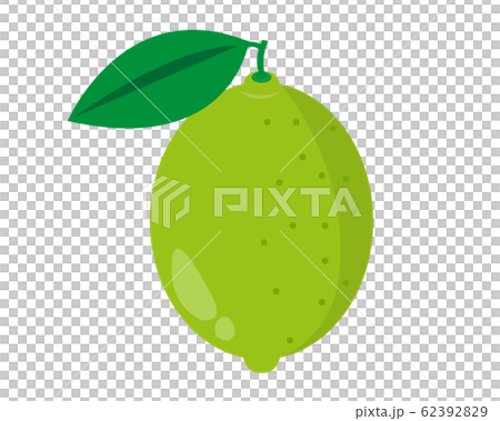 檸檬檸檬 62392829