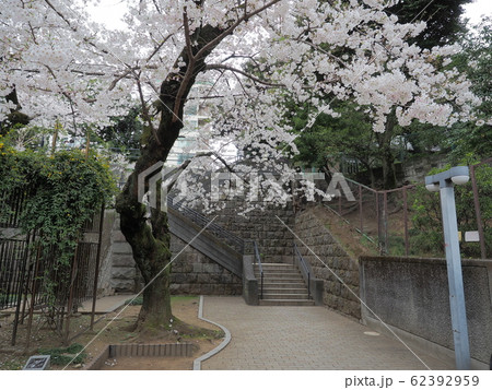東京港区、乃木公園 東京港区、乃木公園 62392959
