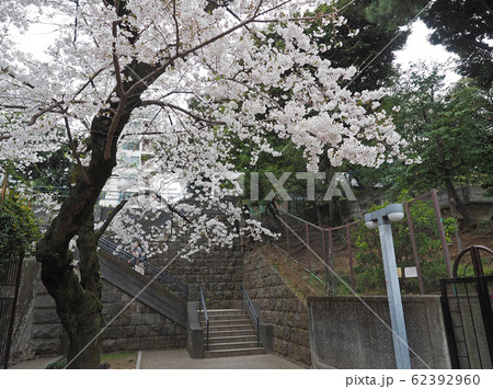 東京港区、乃木公園 62392960