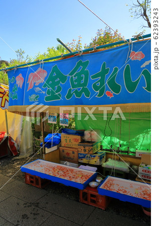 亀戸天神　藤まつり 62393243