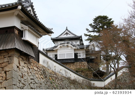 天守が現存する唯一の山城の備中松山城 62393934