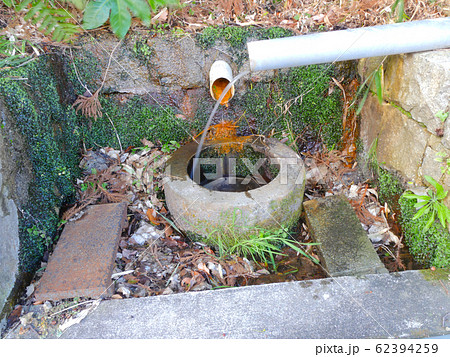 広田神社の外苑の道沿いにある湧き水「おすぎの水」 広田神社の外苑の道沿いにある湧き水「おすぎの水」 62394259