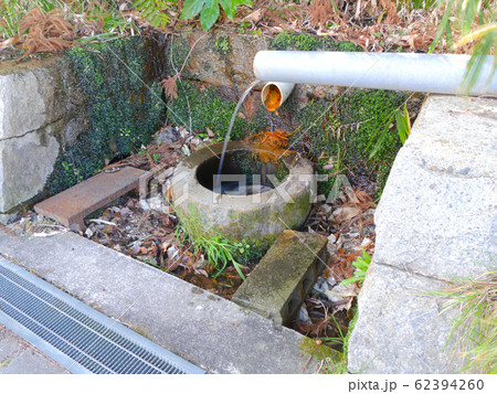 広田神社の外苑の道沿いにある湧き水「おすぎの水」 62394260