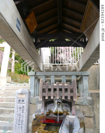 明石市の湧き水「亀の水（かめのみず）」 / 柿本神社（かきのもとじんじゃ）の西参道入り口付近 62394289