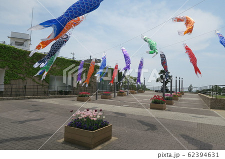 淡路島国営明石海峡公園 62394631