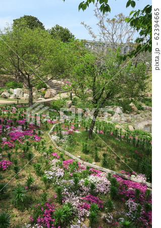 淡路島国営明石海峡公園 62394665