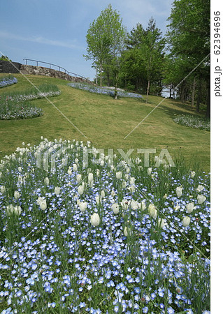 淡路島国営明石海峡公園 淡路島国営明石海峡公園 62394696