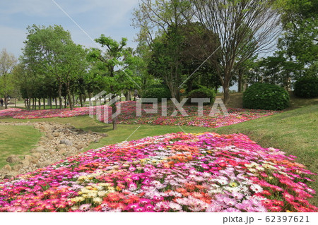 淡路島国営明石海峡公園 淡路島国営明石海峡公園 62397621