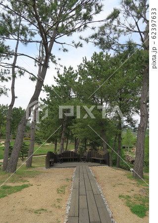 淡路島国営明石海峡公園 淡路島国営明石海峡公園 62397633