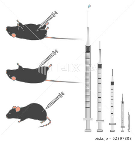 様々な大きさの注射器 注射されている黒いマウスのベクターイラスト