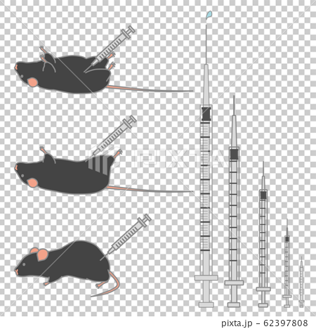 様々な大きさの注射器 注射されている黒いマウスのベクターイラストセットのイラスト素材