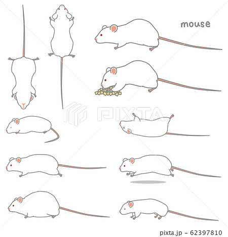 マウスのベクターイラストセット 食事 あおり ふかん うつぶせ 走る 太る やせる のイラスト素材