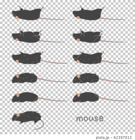 体調の悪いマウスのベクターイラストセット 62397813
