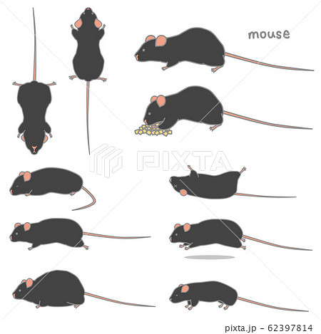 黒いマウスのベクターイラストセット 食事 あおり ふかん うつぶせ 走る 太る やせる のイラスト素材