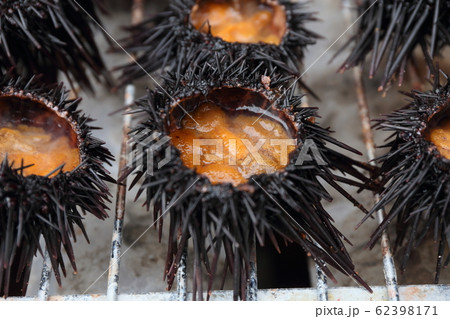 焼きウニ 62398171
