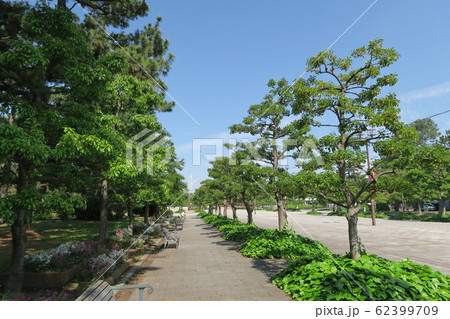 浜寺公園 62399709