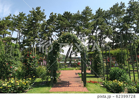 浜寺公園ばら庭園~まちの景~ 浜寺公園ばら庭園~まちの景~ 62399728