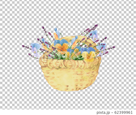 パンジーとラベンダーの花籠 パンジーとラベンダーの花籠 62399961