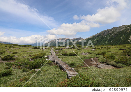 雲ノ平から見たら赤牛岳 62399975