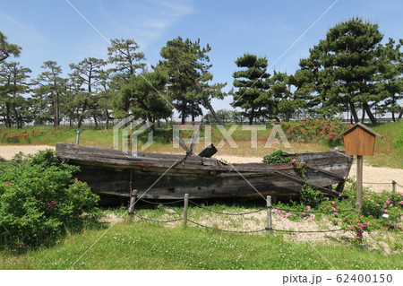 浜寺公園ばら庭園～海辺の景～ 62400150
