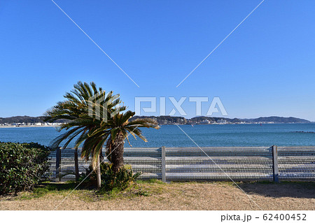 鎌倉海浜公園坂ノ下地区三角地の眺望の写真素材