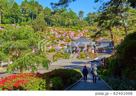 東京青梅市の塩船観音寺の護摩堂とツツジ 62401006