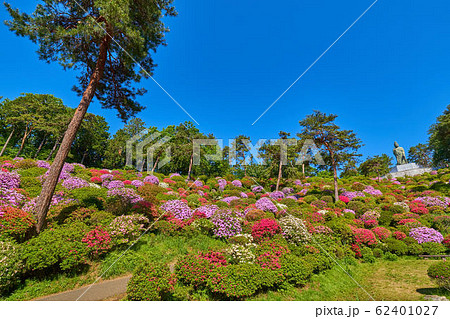 東京青梅市の塩船観音寺の観音池付近からツツジと平和観音像を見る 東京青梅市の塩船観音寺の観音池付近からツツジと平和観音像を見る 62401027