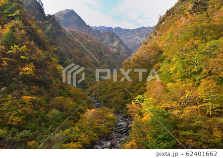 新潟県南魚沼市水無川の紅葉 高倉沢出合いから八海山方面を見る 新潟県南魚沼市水無川の紅葉 高倉沢出合いから八海山方面を見る 62401662