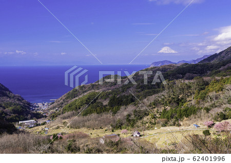 （静岡県）早春の西伊豆石部から望む富士山 62401996