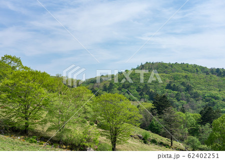 栃木県鹿沼市 前日光牧場 横根高原 (5月) 栃木県鹿沼市 前日光牧場 横根高原 (5月) 62402251