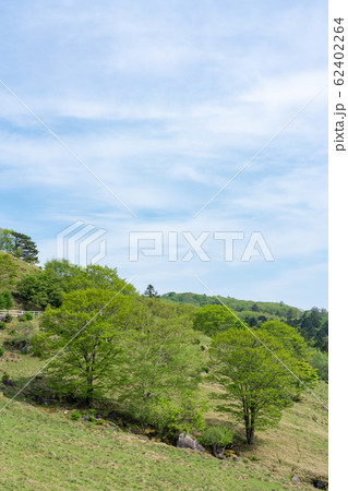 栃木県鹿沼市　前日光牧場　横根高原　（5月） 62402264