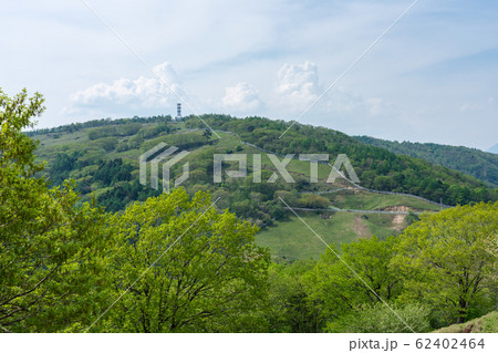 栃木県鹿沼市 前日光牧場 横根高原 (5月) 栃木県鹿沼市 前日光牧場 横根高原 (5月) 62402464