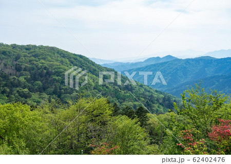 栃木県鹿沼市　前日光牧場　横根高原　（5月） 62402476